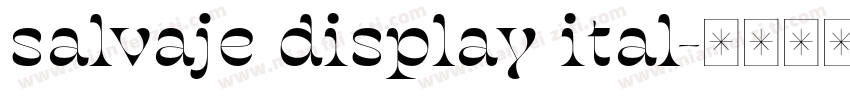 salvaje display ital字体转换